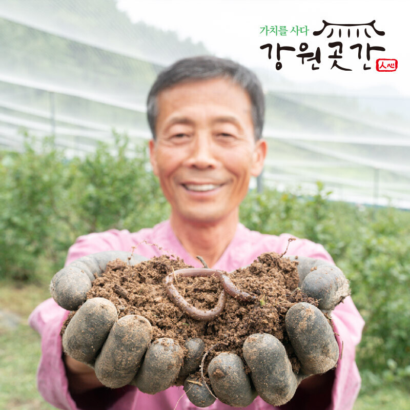 강원도 정선 블루베리 벌꿀 380g - 강원곳간.com