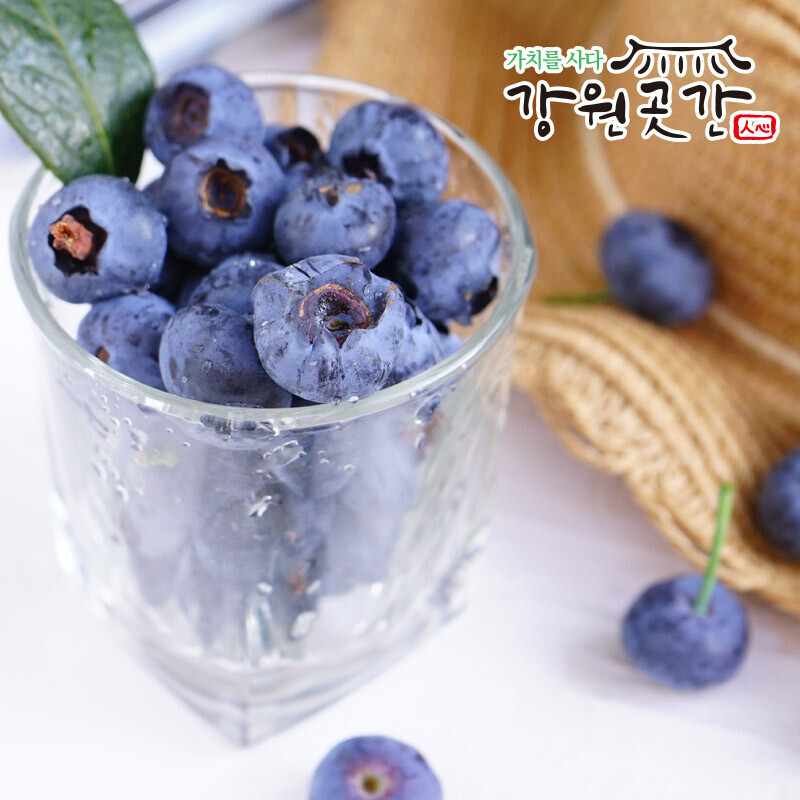 강원도 정선 블루베리 벌꿀 380g - 강원곳간.com