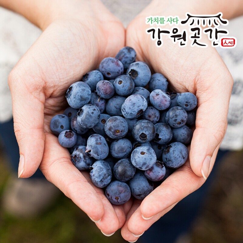 강원도 정선 유기농 냉동 블루베리 1kg 국내산 - 강원곳간.com